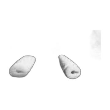 Zirconia